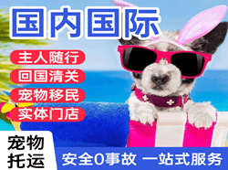 柳州白莲航空空运国际宠物托运 【国